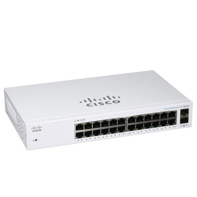 Cisco CBS110-24T-EU Unmanaged Switch 24 Ports Gigabit 10/100/1000 Mbps + 2 SFP (combo with 2 Gigabit Ethernet), Rack-Mountable Steel Case